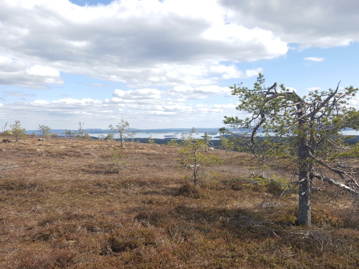 Paljonko meillä on&nbsp;hiilivelkaa?