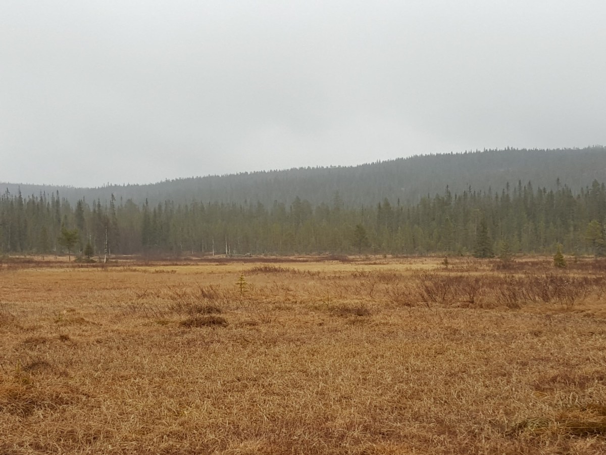 Onko katkonta kriittinen&nbsp;kysymys?